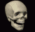 Felix!-Skull